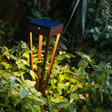 Load image into Gallery viewer, Hawi Outdoor Solar LED Torch Light in Outside Area.
