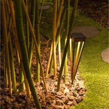 Load image into Gallery viewer, Hawi Outdoor Solar LED Torch Light in Outside Area.
