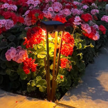 Load image into Gallery viewer, Hawi Outdoor Solar LED Torch Light in Outside Area.
