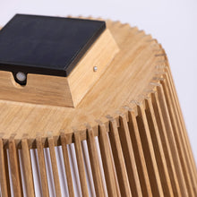 Load image into Gallery viewer, Palma Outdoor Solar LED Floor Lamp in Detail.
