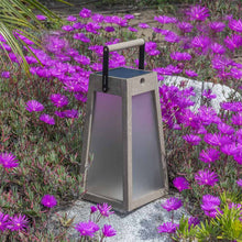 Load image into Gallery viewer, Roam Outdoor Solar LED Lantern in Outside Area.
