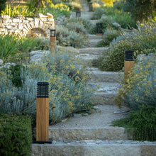 Load image into Gallery viewer, Tekura Outdoor Solar LED Pathway Light in Outside Area.
