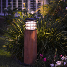Load image into Gallery viewer, Tekura Outdoor Solar LED Pathway Light in Outside Area.
