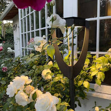 Load image into Gallery viewer, Tulip Outdoor Solar LED Torch Light in Outside Area.
