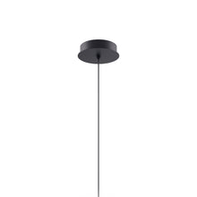 Load image into Gallery viewer, Single Canopy in Matte Black.
