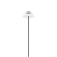 Load image into Gallery viewer, Single Canopy in Matte White.

