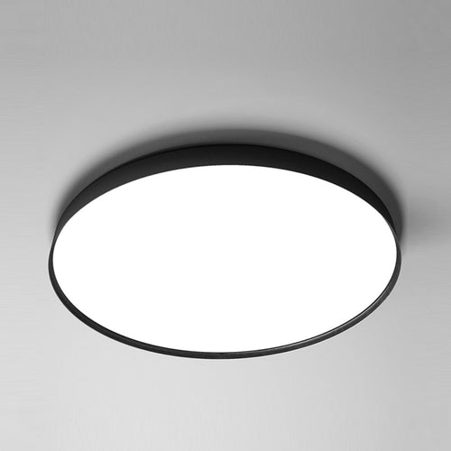 Compendium Ceiling/Wall Light.