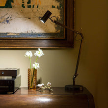 Load image into Gallery viewer, Polo LED Table Lamp in living room.
