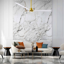 Load image into Gallery viewer, Alessandra Indoor / Outdoor LED Ceiling Fan in living room.
