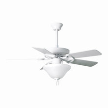 Load image into Gallery viewer, America Ceiling Fan With Light Kit (52-Inch).
