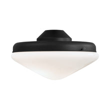 Load image into Gallery viewer, Universal K9401L Fan Light Kit in Textured Coal.
