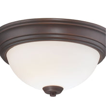 Load image into Gallery viewer, Overland Park Flush Mount Ceiling Light in Detail.
