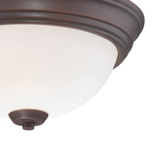 Load image into Gallery viewer, Overland Park Flush Mount Ceiling Light in Detail.
