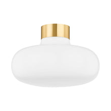 Load image into Gallery viewer, Eliana Flush Mount Ceiling Light.
