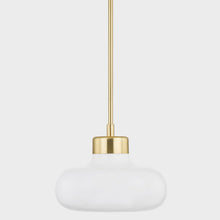 Load image into Gallery viewer, Eliana Pendant Light in Detail.
