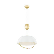 Load image into Gallery viewer, Liliana Pendant Light.

