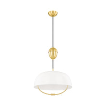 Load image into Gallery viewer, Liliana Pendant Light in Detail.
