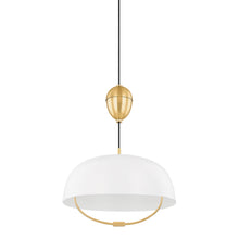 Load image into Gallery viewer, Liliana Pendant Light in Detail.
