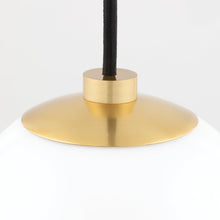 Load image into Gallery viewer, Stella Pendant Light in Detail.
