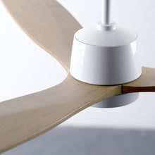 Load image into Gallery viewer, Arbor DC Ceiling Fan in Detail.
