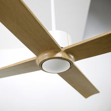 Load image into Gallery viewer, Nouveau DC Ceiling Fan in Detail.
