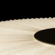 Load image into Gallery viewer, Plie Plisse Pendant Light in Detail.
