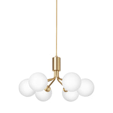 Load image into Gallery viewer, Apiales Chandelier.
