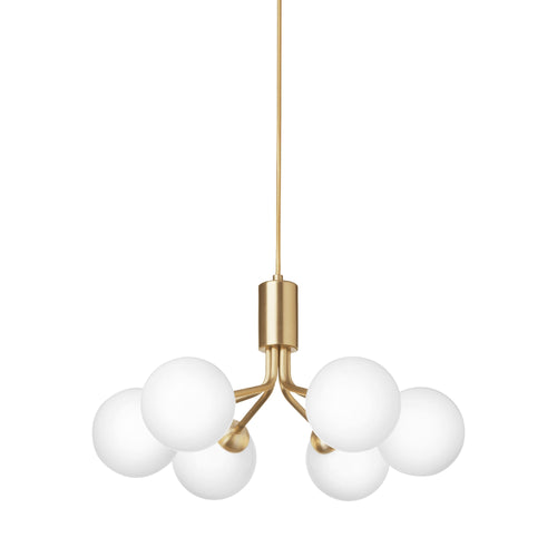 Apiales Chandelier.