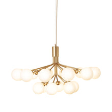 Load image into Gallery viewer, Apiales Chandelier in Brushed Brass/Opal White (18-Light).
