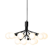 Load image into Gallery viewer, Apiales Chandelier in Satin Black/Opal White (18-Light).
