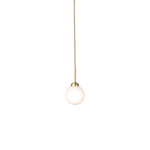 Load image into Gallery viewer, Apiales Pendant Light in Brushed Brass (Small).
