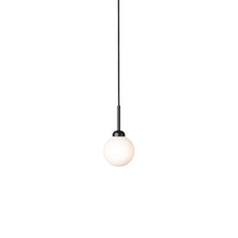 Load image into Gallery viewer, Apiales Pendant Light in Satin Black (Small).
