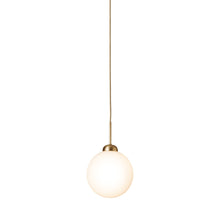 Load image into Gallery viewer, Apiales Pendant Light in Brushed Brass (Large).

