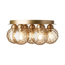 Load image into Gallery viewer, Apiales Plafond Flush Mount Ceiling Light.

