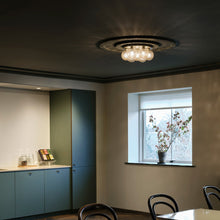 Load image into Gallery viewer, Apiales Plafond Flush Mount Ceiling Light in living room.
