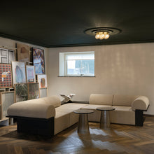 Load image into Gallery viewer, Apiales Plafond Flush Mount Ceiling Light in living room.
