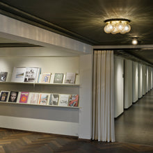 Load image into Gallery viewer, Apiales Plafond Flush Mount Ceiling Light in living room.
