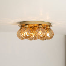 Load image into Gallery viewer, Apiales Plafond Flush Mount Ceiling Light in Detail.
