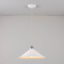 Load image into Gallery viewer, Cobb Plain Pendant Light in Detail.
