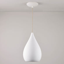 Load image into Gallery viewer, Drop One Pendant Light in Detail.
