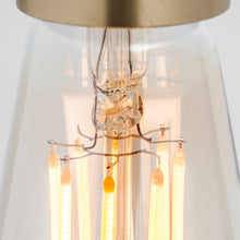 Load image into Gallery viewer, E26 120V LED Squirrel Cage Lamp in Detail.
