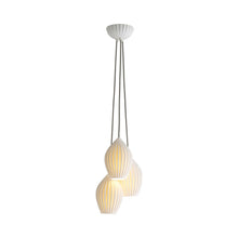 Load image into Gallery viewer, Fin Multi-Light Pendant Light (3-Light).
