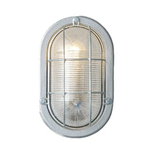 Load image into Gallery viewer, Oval Aluminium Indoor/Outdoor Wall Light in Silver (With Guard).
