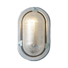Load image into Gallery viewer, Oval Aluminium Indoor/Outdoor Wall Light in Silver (Without Guard).
