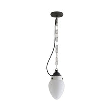 Load image into Gallery viewer, Pine Pendant Light.
