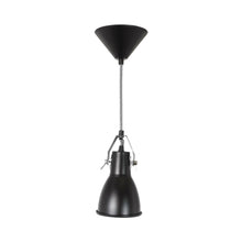 Load image into Gallery viewer, Stirrup Pendant Light.
