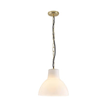 Load image into Gallery viewer, York Pendant Light in Opal/Brass (Large).
