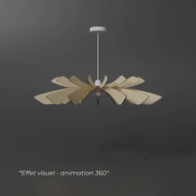 Load and play video in Gallery viewer, Aurora Pendant Light
