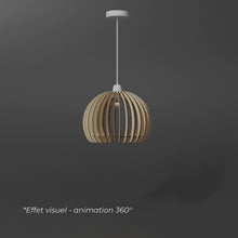 Load and play video in Gallery viewer, Atlas Pendant Light
