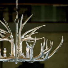 Load image into Gallery viewer, Antler Chandelier in room.
